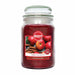 Airpure Apple Cinnamon 18oz Scented Jar Candle - main product image, showing glass jar candle with deep red candle wax, with picture label depicting apples and sticks of cinnamon with 'Airpure' and 'Apple Cinnamon Scented Candle' printed on