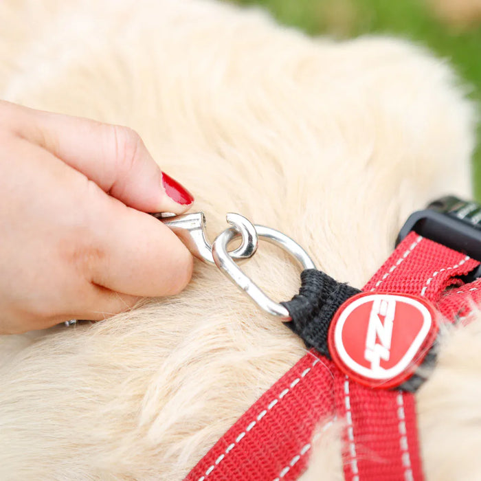 Leisurewize Dog Ground Anchor Screw Peg with 4m Tether Lead - lifestyle image, showing a close-up of the tether lead hook clipping into a harness being worn by a dog