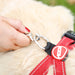 Leisurewize Dog Ground Anchor Screw Peg with 4m Tether Lead - lifestyle image, showing a close-up of the tether lead hook clipping into a harness being worn by a dog