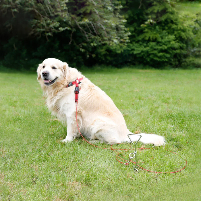 Leisurewize Dog Ground Anchor Screw Peg with 4m Tether Lead - lifestyle image, showing a golden retriever sitting on a green grassy lawn wearing a red harness with a leash attached, with trees in the background.