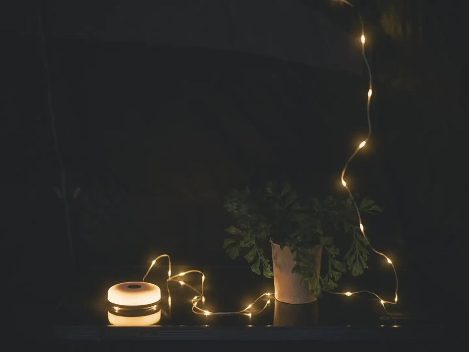Outwell Moonstone String Light Camping Lantern - lifestyle image, showing light and string lights around plant pot