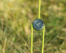 Outwell Sky 6 Person Tunnel Family Tent - product image, showing close-up of toggle