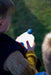 Vango Star 85 River Light - Camping Lantern Blue lifestyle image of kid holding light